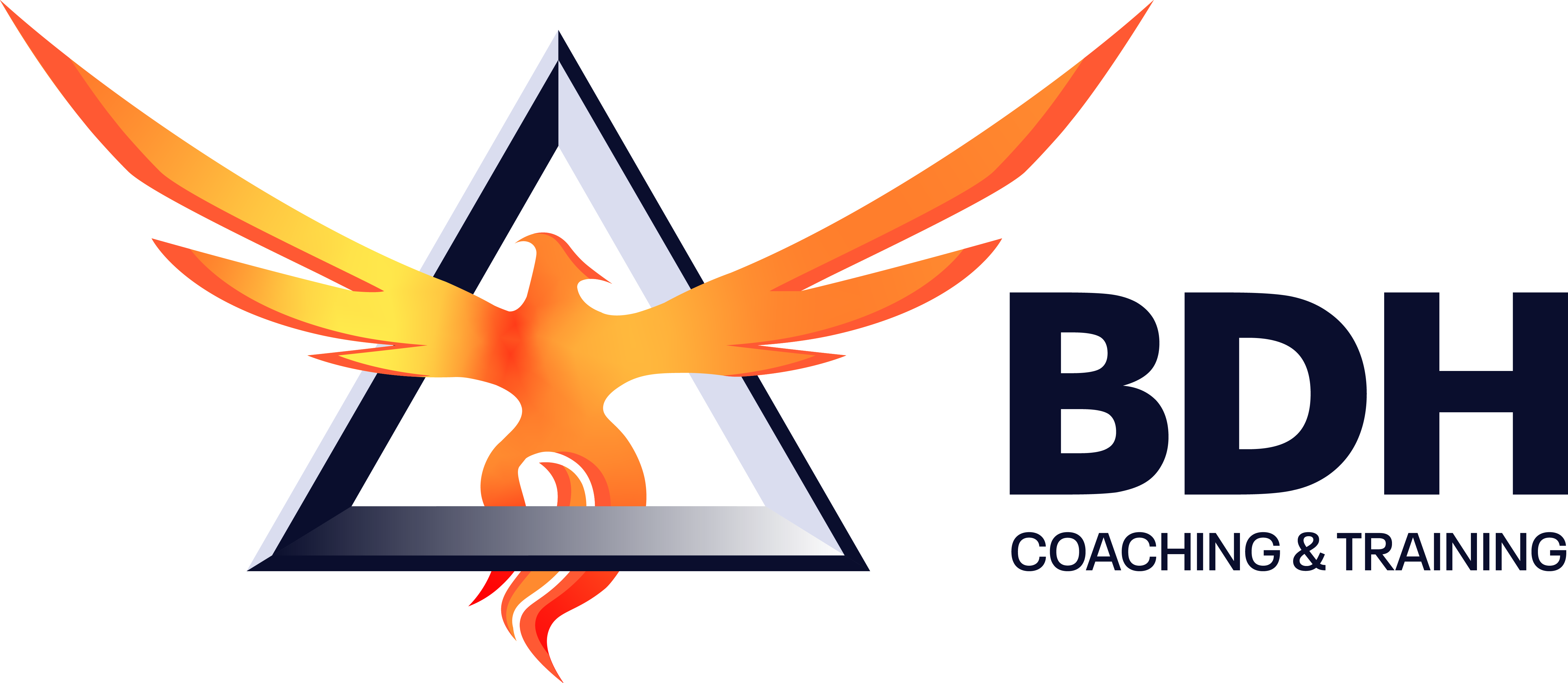 Company Logo - Rising Phoenix 